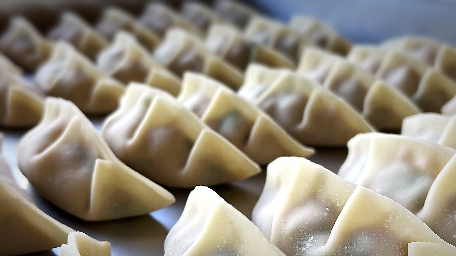 焼く前の、包み上がった手づくり餃子