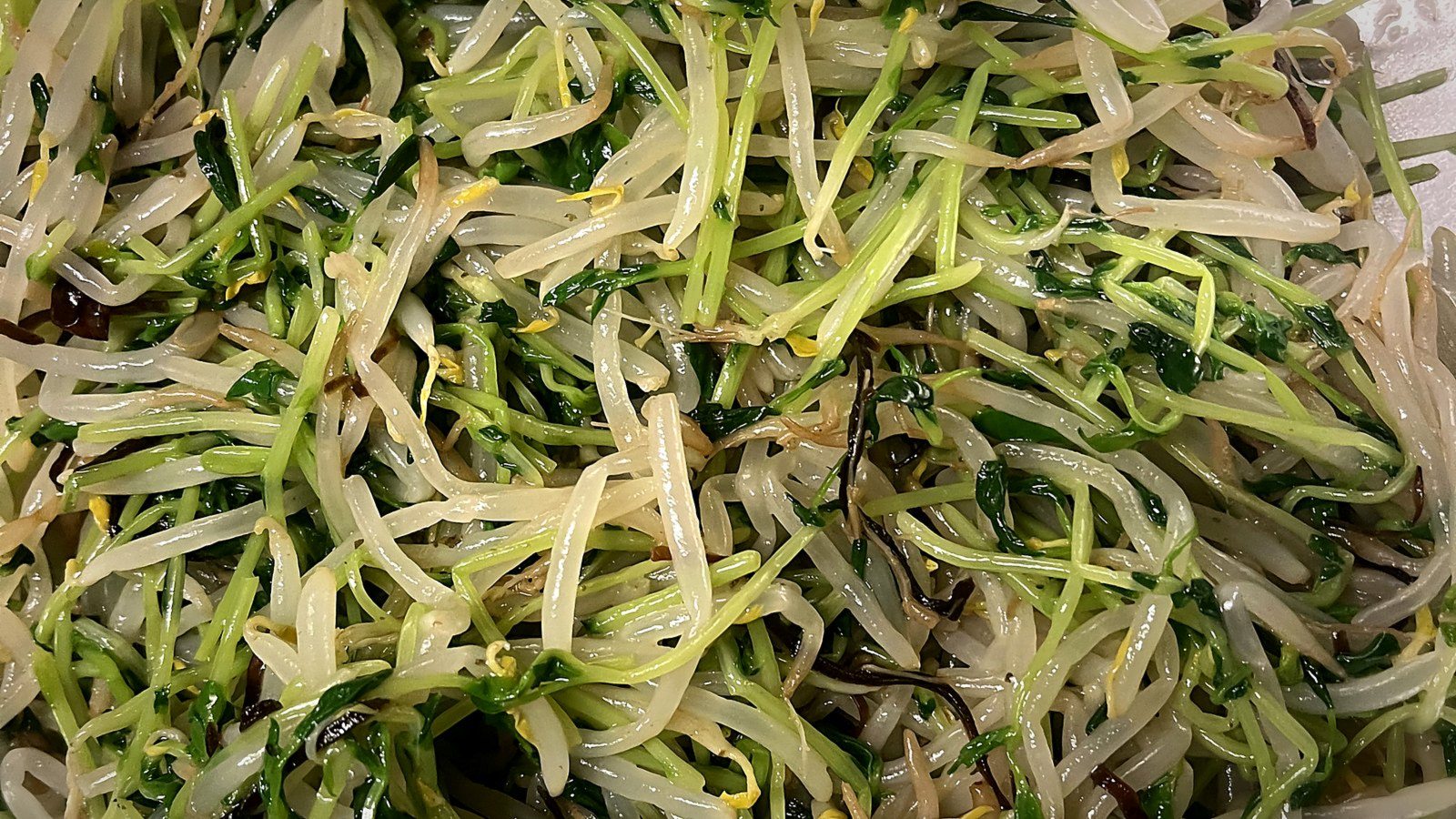 もやしと豆苗のナムル